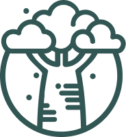 Logo Baobá
